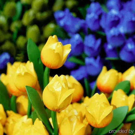 Mercure Schiphol Terminal Hotel 3*