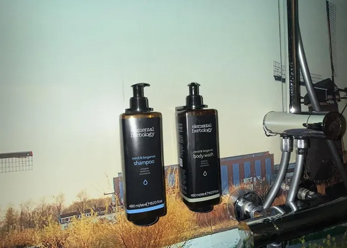 Mercure Schiphol Terminal Hotel Amsterdam Airport Schiphol