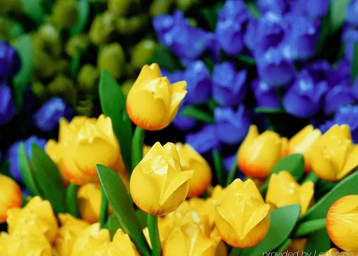 Mercure Schiphol Terminal Hotel 3*